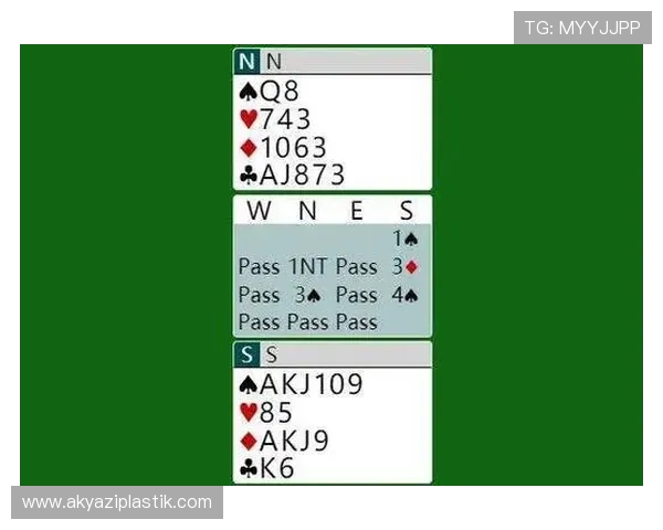 如何利用百家乐路单记录追踪庄闲变化，优化投注决策