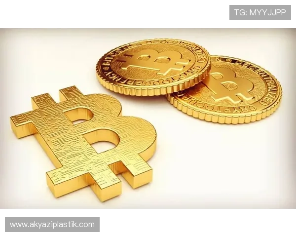 欧博国际官网支付方式多样化确保资金快速安全到账 欧博国际官网支付方式多样化确保资金快速安全到账