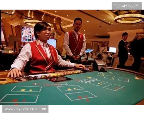 澳门娱乐体验攻略:如何规划你的赌场之旅与丰富的娱乐活动安排 澳门娱乐体验攻略:如何规划你的赌场之旅与丰富的娱乐活动安排